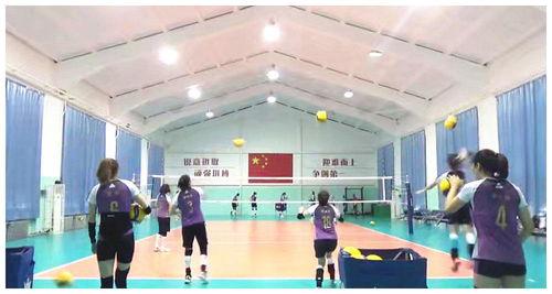 天津女排爆料视频最新版,备战新赛季的幕后故事